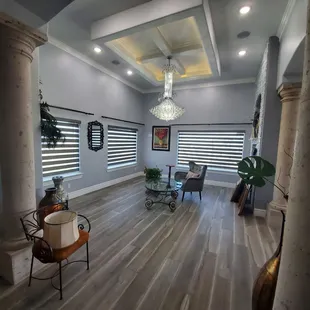 Motorized Transitional Shades