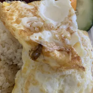 Fried Egg with a little extra protein.