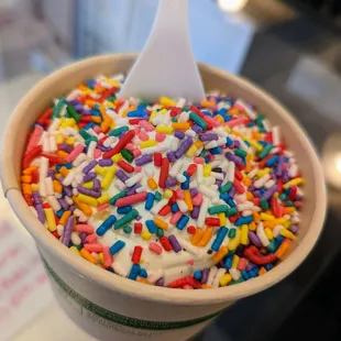 Fior di Latte (6 oz cup for $4.99) plus rainbow sprinkles ($1.29).