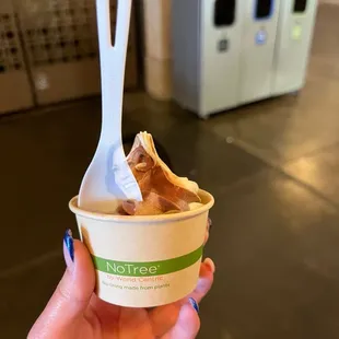 Vegan Vanilla and Chocolate Swirl