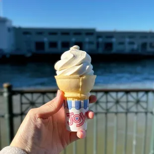 Small soft serve (Straus Organic Vanilla) $3.99