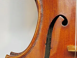 Vessel Stringed Instruments