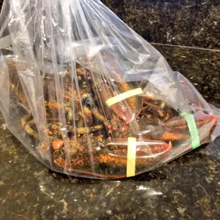 a bag of cooked lobsters