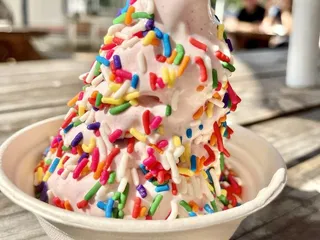 Zeds Real Fruit Ice Cream