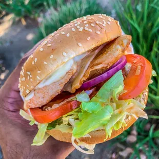 Louisiana Chicken Sandwich