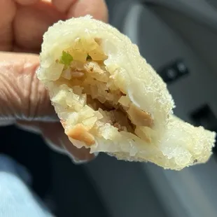 Deep Fried Meat Dumpling