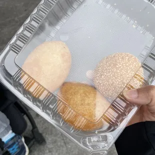 Crispy Fried Pork Dumplings