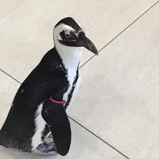 Kevin S.