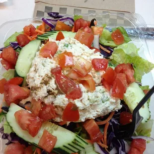 In love with Gourmet Gang's chicken salad!!!