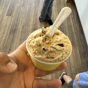 Medium chocolate peanut butter gelato