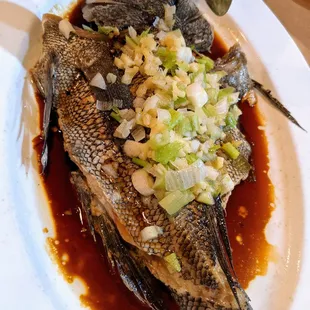 Black Sea Bass. Market price = $24.67 during our visit. Whole fish, on the specials menu (last page). View from overhead, portrait orient.