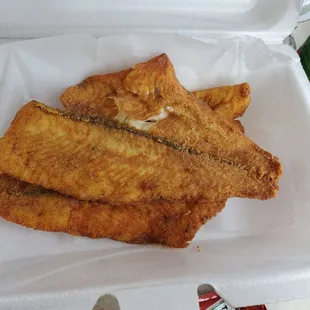 Flounder