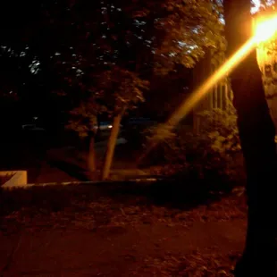 Autumn at the gov s park!