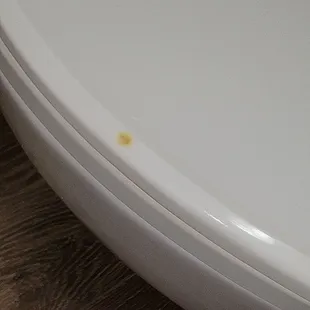 Cigarette burn on toilet seat.
