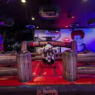 The bull is still there for 2025. It comes every Tuesday around 8:30. All guests who buy food and drinks can ride for free.