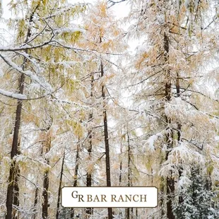 Dude Ranch Paonia ranch hunting Secluded Spots Vacation Rentals family vacation Paonia, CO cabin camping cabin rental