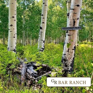 Dude Ranch Paonia ranch Centennial Secluded spots vacation rentals cabin rental family vacation cabin hunting Wildlife Hunting Ranges Paonia