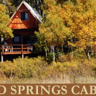 Vacation Cabin Rentals Colorado,  37830 Roatcap Rd Paonia, Co 81428