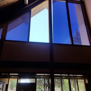 Residential and Commercial Window Tint Removal, New Installation