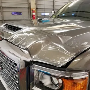 Paint Protections