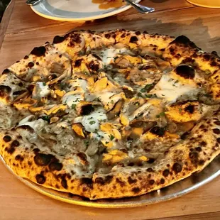 Mushroom Pizza