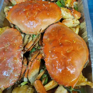 Crabs...crabs....and crabs.