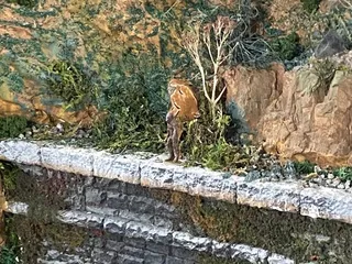 Jackson Street Roundhouse