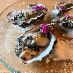 Oysters on the Half Shell, cornichon-kizami wasabi mignonette