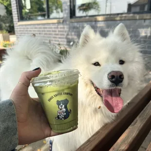Iced matcha latte