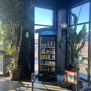 Plenty of sunlight inside the cafe