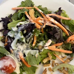 Old veggies. Old salad.