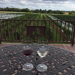 Observation deck view.