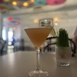 a cocktail in a martini glass on a table