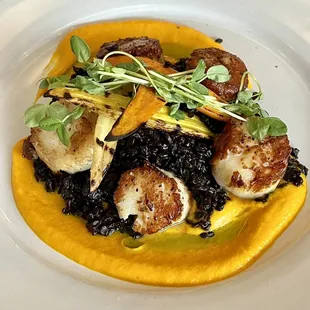 Seared Scallops - Black Rice/Carrot Ginger Puree/ Honey Roasted Carrots