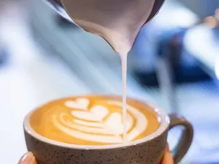 Java Nation - Kensington