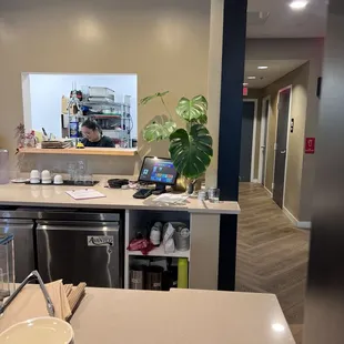 Small kitchen behind Monstera plant.