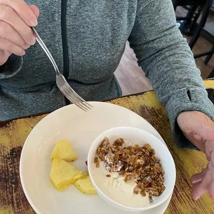 Yogurt and Homemade Granola, Yogurt &amp; Mixed Fruit