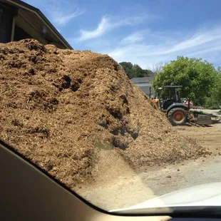Mount Manure at Graceland