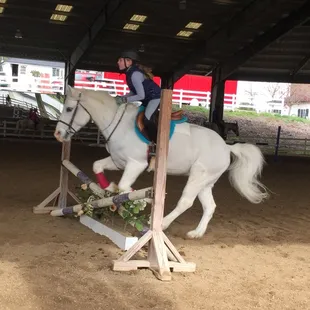 Lesson program provides safe ponies that are masters at building skills and confidence.
