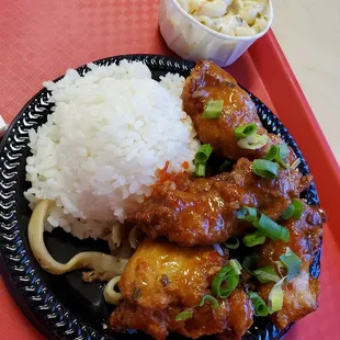 Bento Chicken Plate
