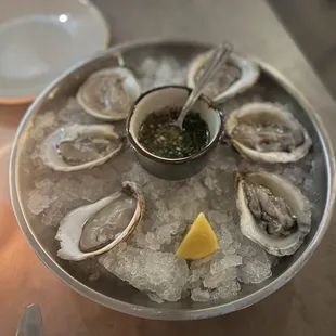 Oysters