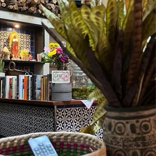 a plant in a basket in front of a bookshelf