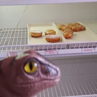 Bob the Raptor Says "These Mammals have Donut prey."