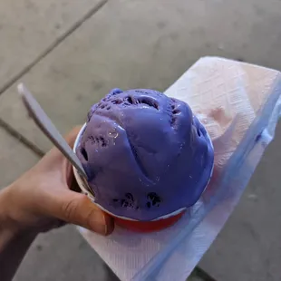 Kiddie scoop ube