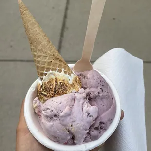 Pop tart, black raspberry chip, fluff cone