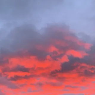 Pink T.