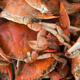 a pile of crabs