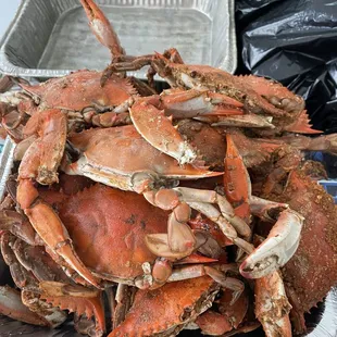 Steamed Blue Crabs - Heavy seasoning.