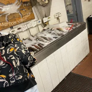 oysters and mussels, interior