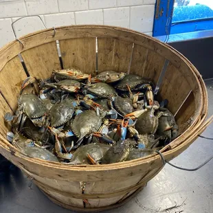 food, oysters and mussels